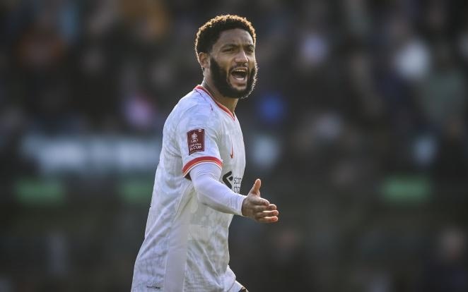 联盟大结局 联盟大结局