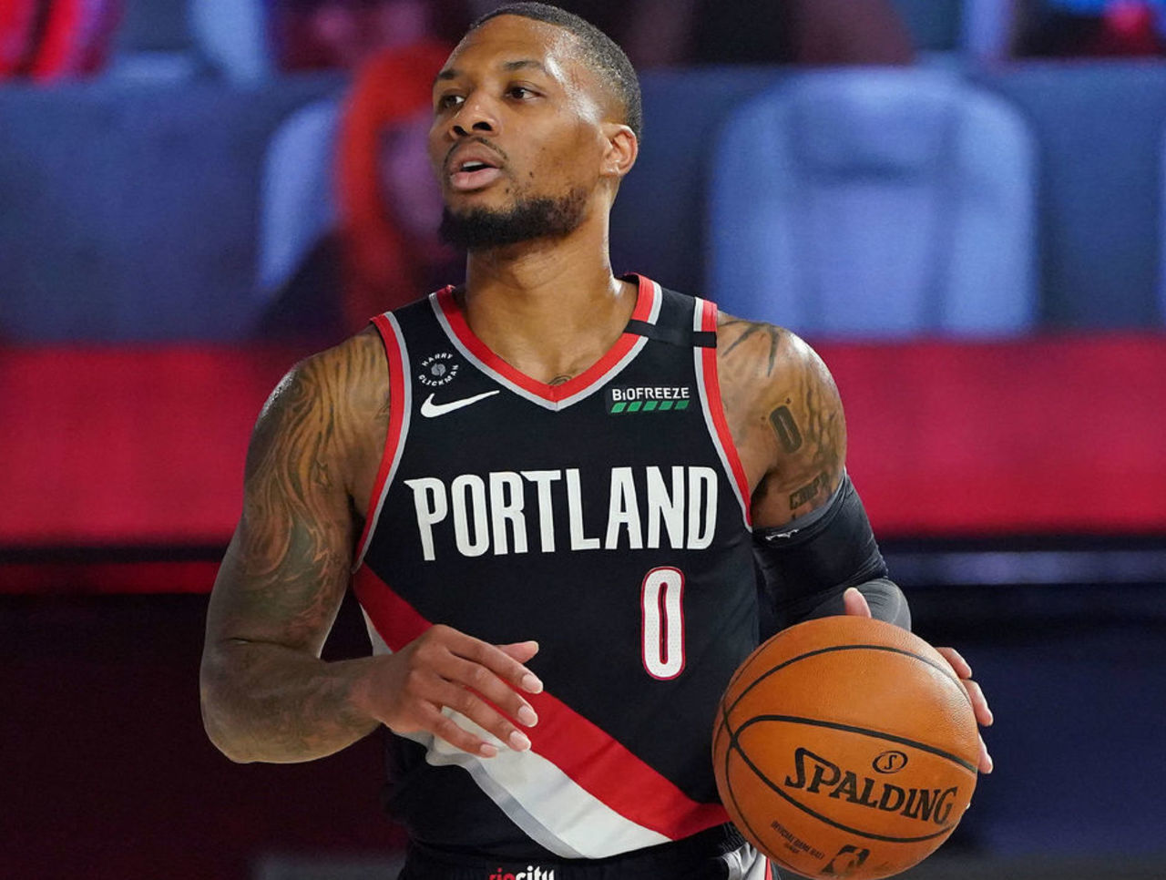 海豚队喜迎 海豚队喜迎